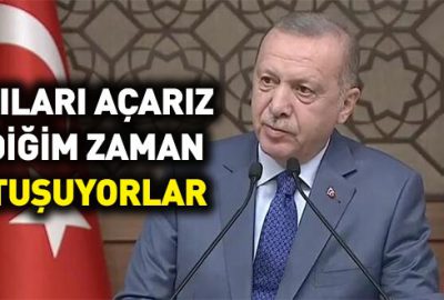 Cumhurbaşkanı Erdoğan: Kapıları açarız dediğim zaman tutuşuyorlar