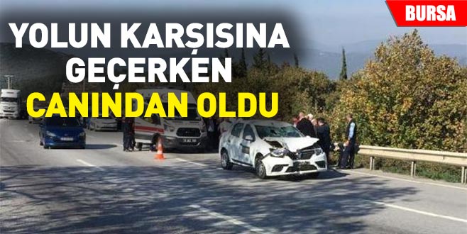 Yolun karşısına geçerken canından oldu