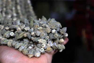 Fiyatı altınla yarışıyor