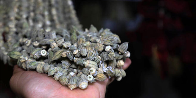 Fiyatı altınla yarışıyor