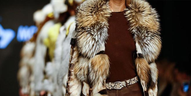 Türkiye’den 80 ülkeye kürk satıldı Türkiye’den 80 ülkeye kürk satıldı