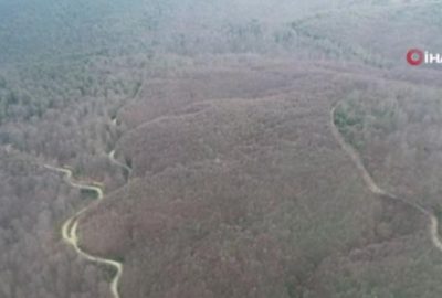 Tırtıllara hava harekatı böyle görüntülendi