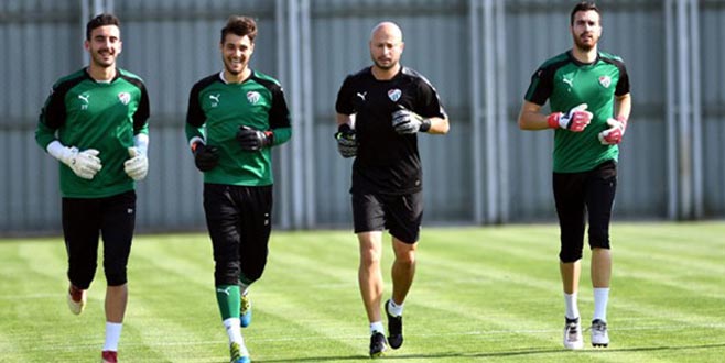 Timsah kaleyi düşünmüyor Timsah kaleyi düşünmüyor