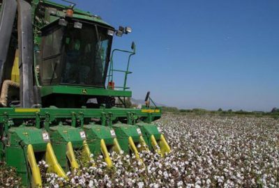 Çiftçi ürünlerini kooperatifle pazarlayacak