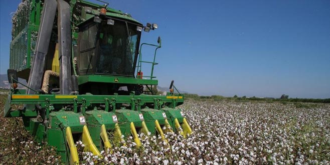 Çiftçi ürünlerini kooperatifle pazarlayacak