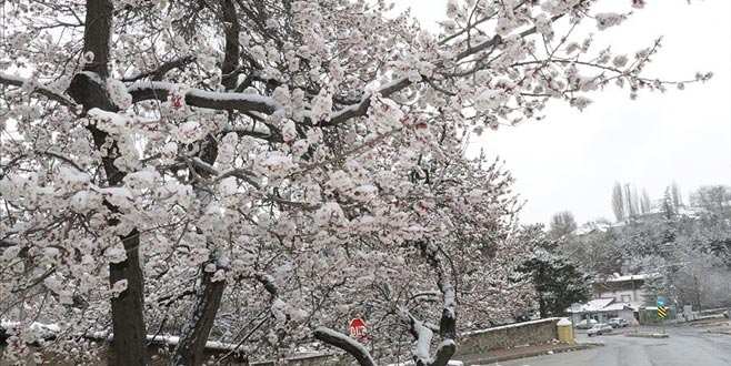 Meteoroloji’den kar uyarısı