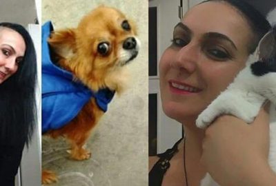 Korkunç olay! Ölen sahiplerinin cesedini yediler