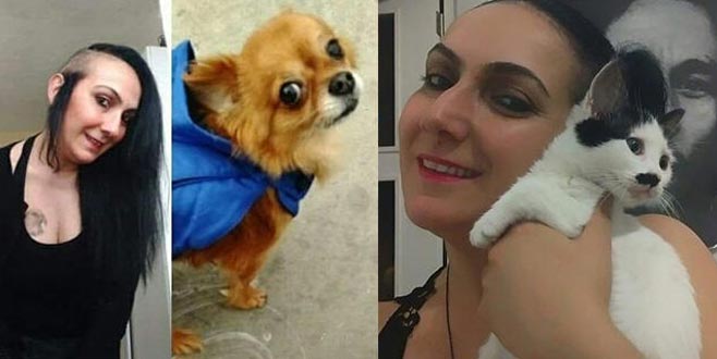 Korkunç olay! Ölen sahiplerinin cesedini yediler