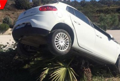 Kontrolü kaybeden otomobil ağaca çıktı