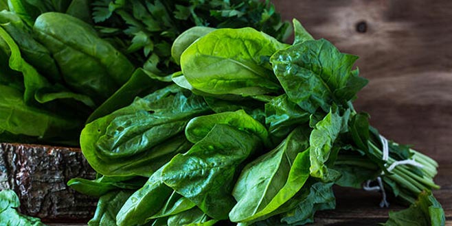 Ispanak kabusunun nedeni belli oldu