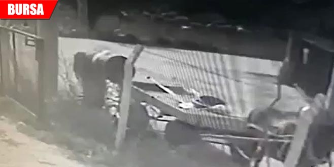 At arabalı hırsızlar güvenlik kameralarında