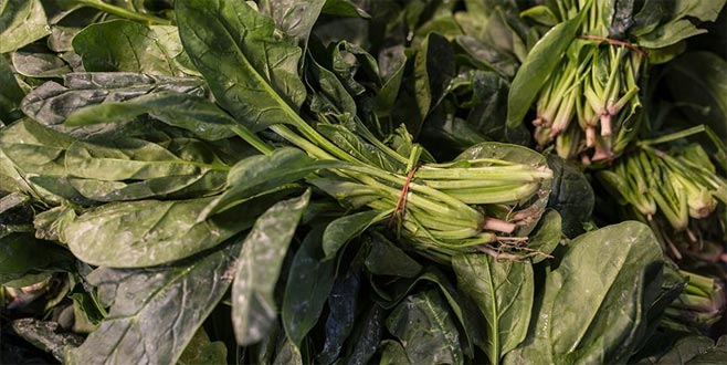 Valilik zehirli ıspanakların kaynağını açıkladı Valilik zehirli ıspanakların kaynağını açıkladı