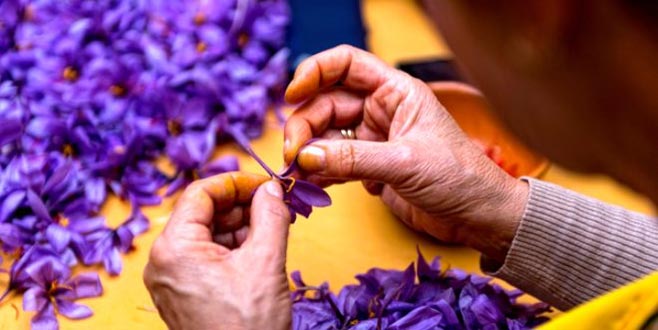 Toprakta yetişen mucize! Erkeklerin cinsel gücünü arttırıyor