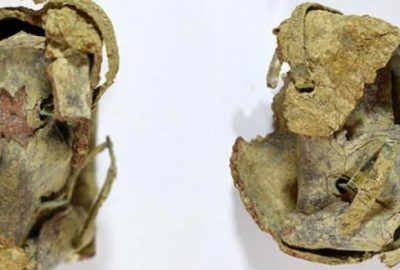 Kazı çalışmalarında bulundu! İçinden ‘kara büyü’ çıktı