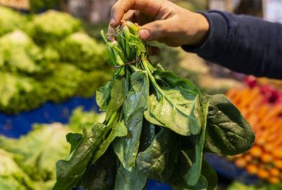 İstanbul Tarım ve Orman Müdürlüğü’nden ‘ıspanak’ açıklaması