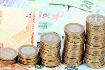 TL varlıklara ilgi arttı