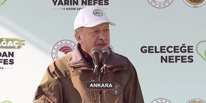 Erdoğan: Hedefimiz zümrüt yeşili bir Türkiye fotoğrafı