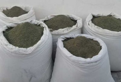 PKK’ya uyuşturucu darbesi