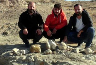 7,5 milyon yıllık yeni fosil bulundu