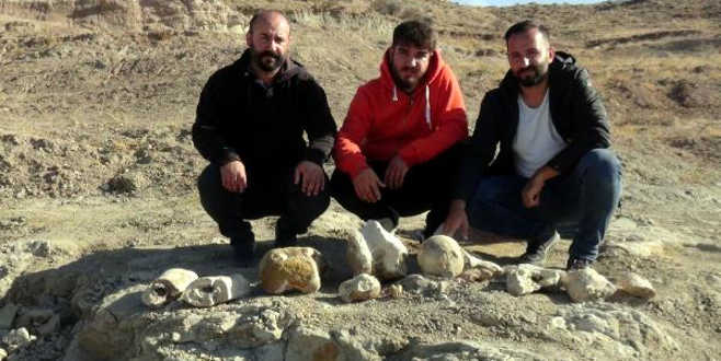 7,5 milyon yıllık yeni fosil bulundu