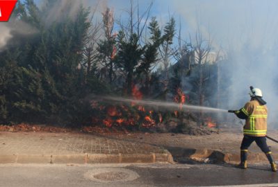 Kaş yapayım derken göz çıkardı