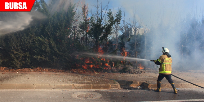 Kaş yapayım derken göz çıkardı