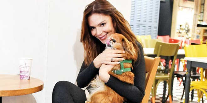 Köpeğine doğum günü partisi yapacak