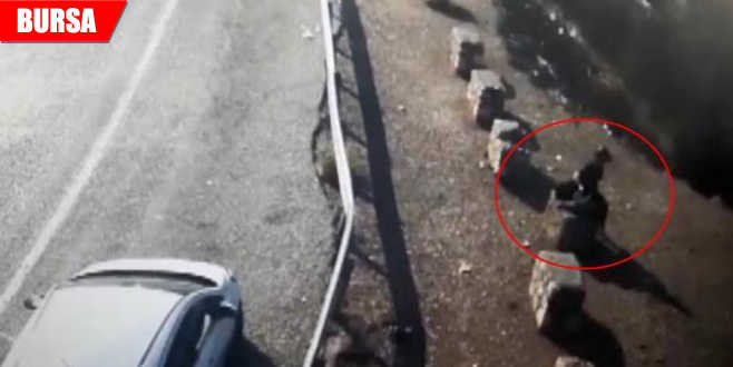 50 metrelik uçurumdan atladı! İşte o görüntüler… 50 metrelik uçurumdan atladı! İşte o görüntüler…