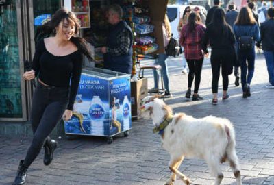 Zeynep’in ilginç bitirme tezi