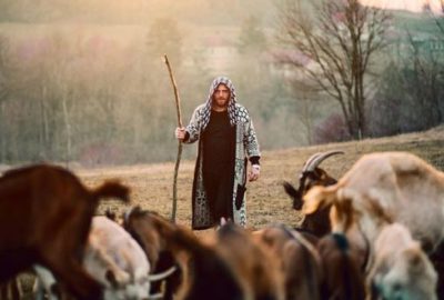 İŞKUR’dan çobanlık akademisi