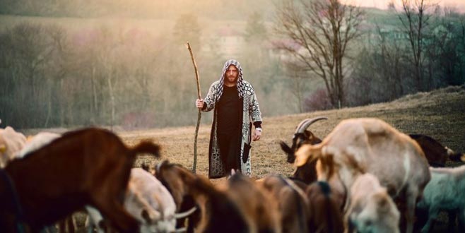 İŞKUR’dan çobanlık akademisi