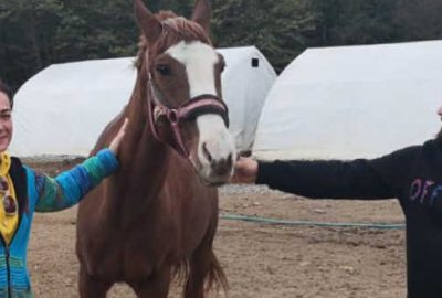 Doğumgününü barınakta kutladı