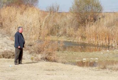 Büyük tehlike! Günden güne azalıyor