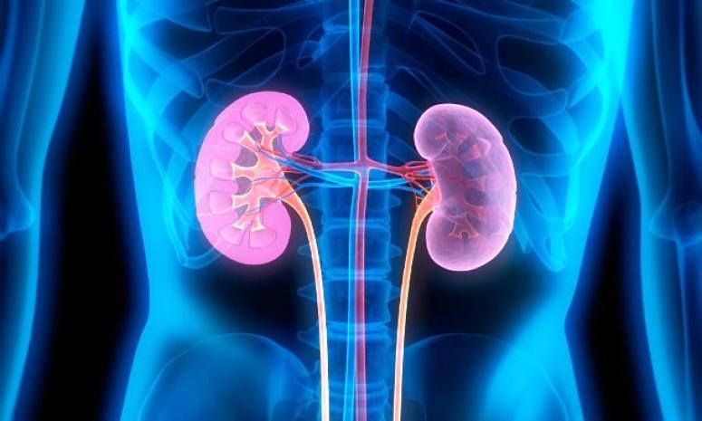 Böbrek kanseri belirtileri!