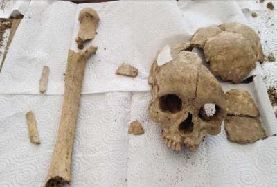 3500 yıllık insan kafatası ve uyluk kemiği bulundu