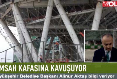 Timsah kafasına kavuşuyor