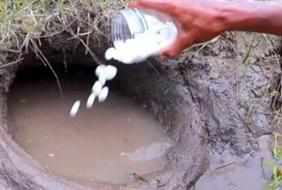 Önce nane şekeri sonra kolayı boca etti! 1 dakika sonrası inanılmaz