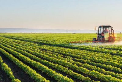 Tarım alanlarına miras takibi