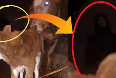 Fotoğrafa yansıyan siluet, tartışma konusu oldu