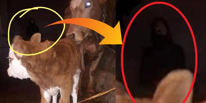 Fotoğrafa yansıyan siluet, tartışma konusu oldu