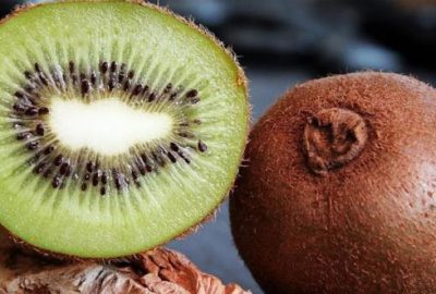 Ordu kivi zengini oldu 