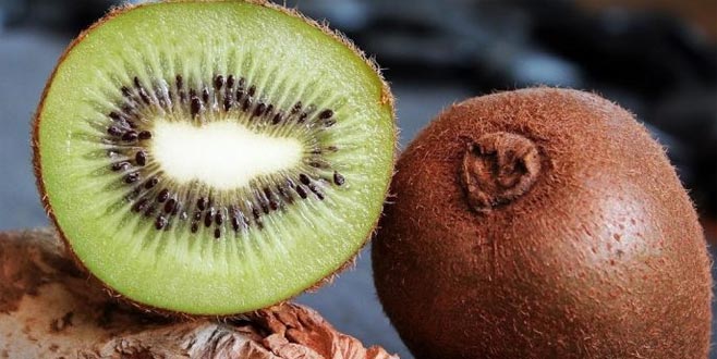 Ordu kivi zengini oldu 