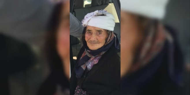 Sokak köpeği yaşlı kadının yüzünü parçaladı