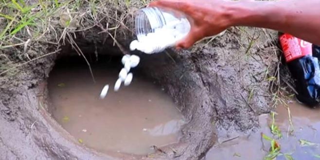 Önce nane şekeri sonra kolayı boca etti! 1 dakika sonrası inanılmaz Önce nane şekeri sonra kolayı boca etti! 1 dakika sonrası inanılmaz