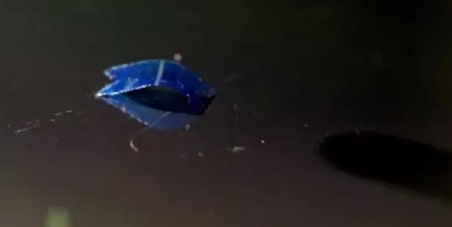 Plastiğe yürümeyi öğrettiler! Plastiğe yürümeyi öğrettiler!