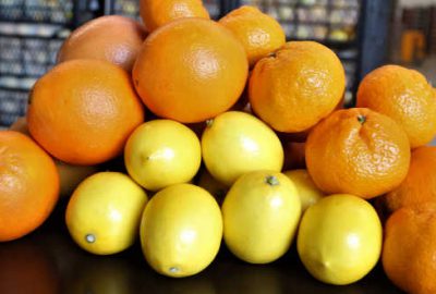 560 milyon dolarlık narenciye ihracatı