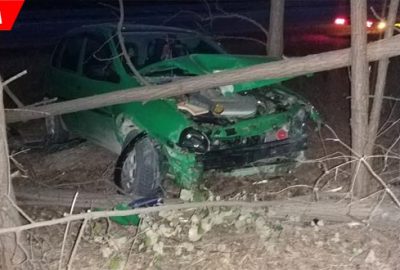 Kontrolden çıkan otomobil ağaca çarptı: 1 yaralı