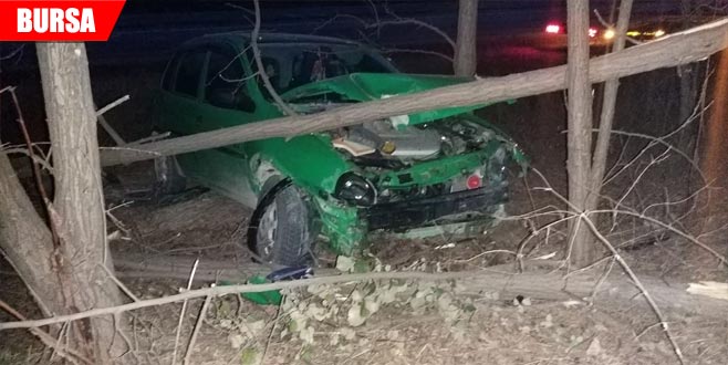 Kontrolden çıkan otomobil ağaca çarptı: 1 yaralı