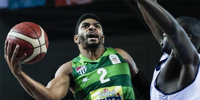 Timsah potada da kayıp