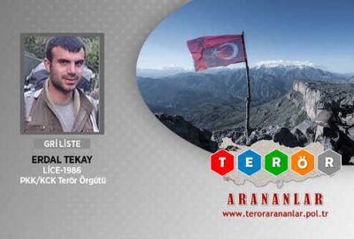 Gri kategorideki terörist etkisiz hale getirildi